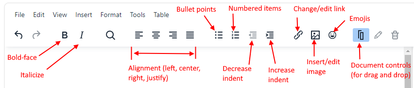 Screencap showing the rich text editor options