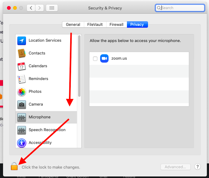 Multi-item list on left hand side, with an arrow pointing to "Microphone", and another arrow to the lock symbol to click to make changes.